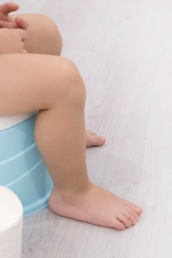 Ein kleines Kind sitzt auf einem blauen Nachttopf, daneben liegt eine Rolle Toilettenpapier.